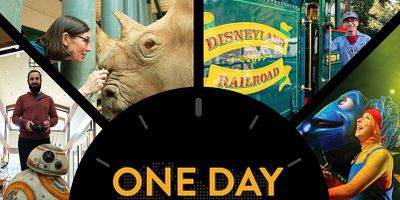 poster de la série Eric Goldberg : animateur