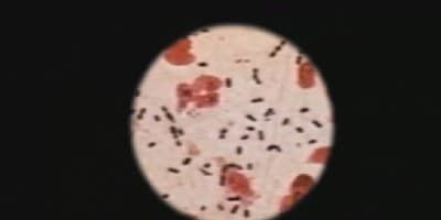 poster de la série La Théorie du chaos