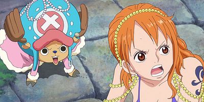 poster de la série La défense de l'éléphant. Luffy et Zunesh !