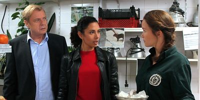 poster de la série Espèces protégées