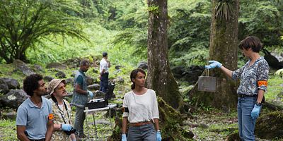 poster de la série Forêt de Reculée
