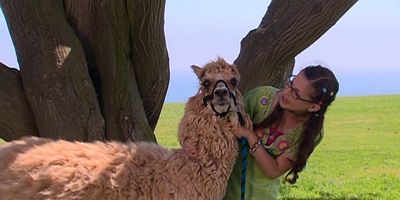 poster de la série Pour la bonne cause