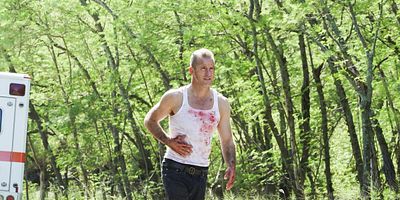 poster de la série I ho‘olulu, ho‘ohulei ‘ia e ka makani