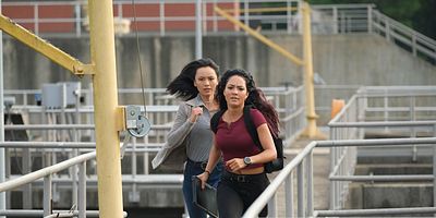 poster de la série Phoenix mon amour