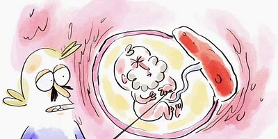 poster de la série Placentophagie