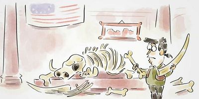 poster de la série Comment devenir un beau fossile ?