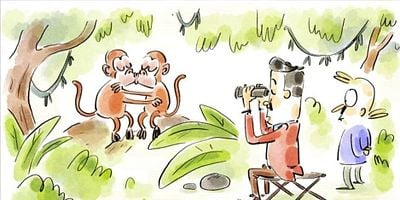 poster de la série Les animaux gays