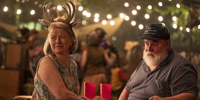 poster de la série Le renard