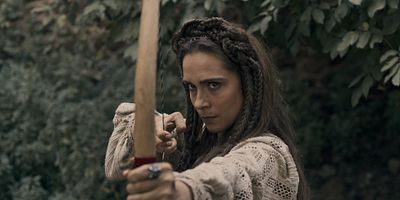poster de la série Les armes