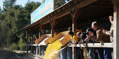 poster de la série Le saint