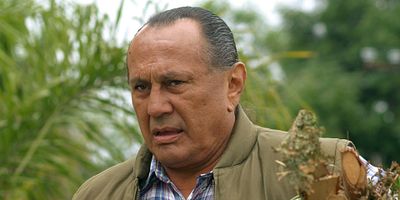 poster de la série L'ours errant