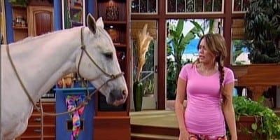 poster de la série Ce n'est qu'un au revoir ? (1/2)