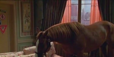 poster de la série Sauvez Tippy !