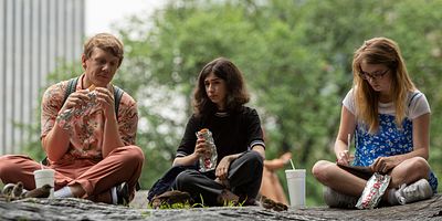 poster de la série Discoid Cockroaches