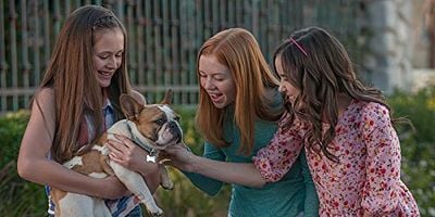 poster de la série Et une pincée de chien