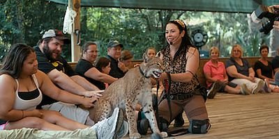 poster de la série Culte de la personnalité