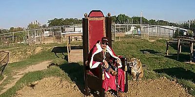 poster de la série La fin d'un règne