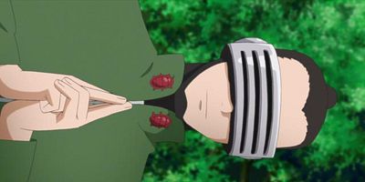 poster de la série Himawari, ninja en herbe !