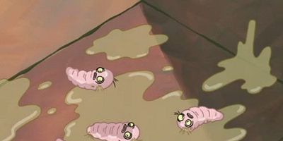 poster de la série Le journal du crabe