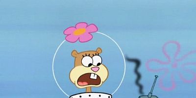 poster de la série Les leçons "d'adultes"