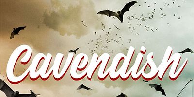 poster de la série The Beast