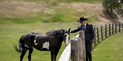 poster de la série C'est vous l'indien, maintenant