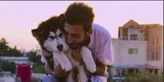 poster de la série Bravo, Zeus !