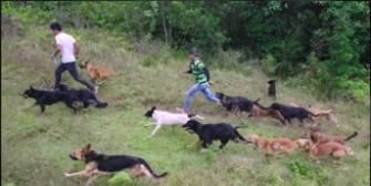 poster de la série Le refuge des Zaguates