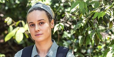 poster de la série Brie Larson