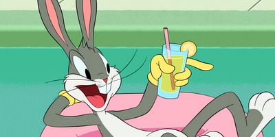 poster de la série Basket Bugs