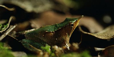poster de la série Une Terre d'un autre temps