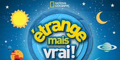 poster de la série Les dinosaures