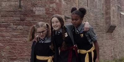 poster de la série Les tribulations de la tortue