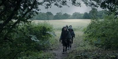 poster de la série La Forêt Envolée