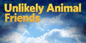 poster de la série Mini-Me