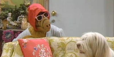 poster de la série Une vie de chien