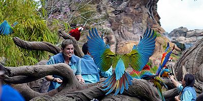 poster de la série Betty et la bête