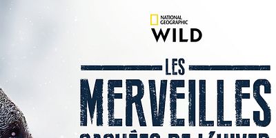 poster de la série La frontière de glace de l’Amérique