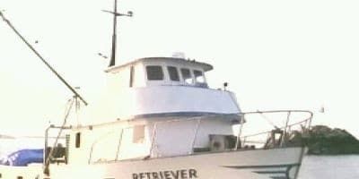 poster de la série Tentacules - 1ère partie