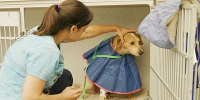 poster de la série Chaos au bloc