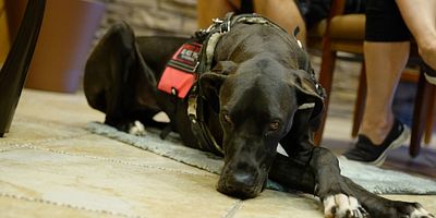 poster de la série Aveuglé