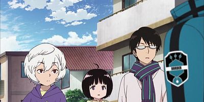 poster de la série La branche Tamakoma