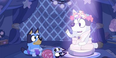 poster de la série Bumpy et le vieux lévrier sage