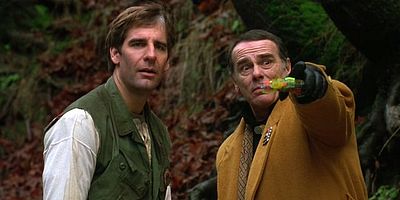 poster de la série L'Homme préhistorique