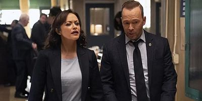 poster de la série La nouvelle norme