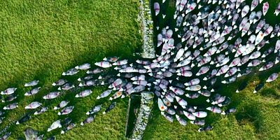 poster de la série Le Royaume-Uni