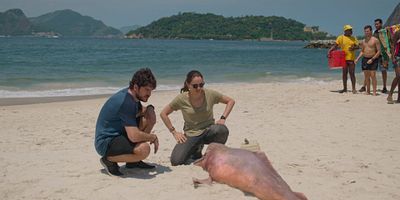 poster de la série J'aurais aimé que tu sois là