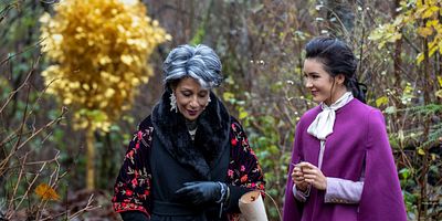 poster de la série La quête du saphir araignée