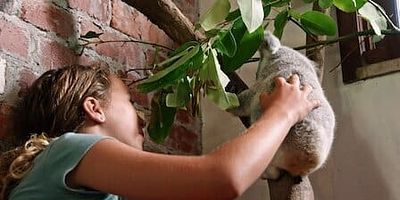 poster de la série Mâchouille apprend à grimper