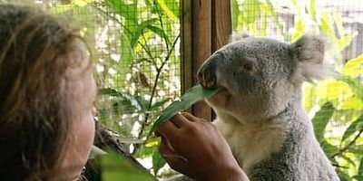 poster de la série Gagner la confiance de Tempête